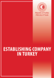 Establishing Company In Turkey