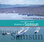 Samsun Investment Brochure 