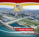 Samsun Investment Brochure (2019)