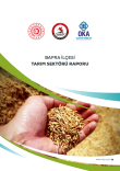 Bafra İlçesi Tarım Sektörü Raporu