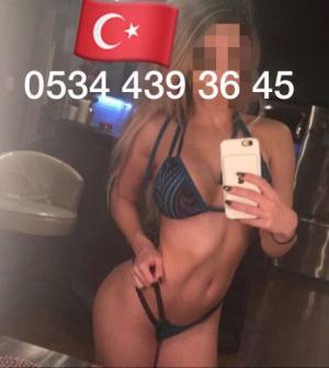Karadeniz Kıyısı Terme Notu · InvestSamsun Rehberi